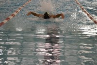 swim swim