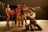 war horse war horse